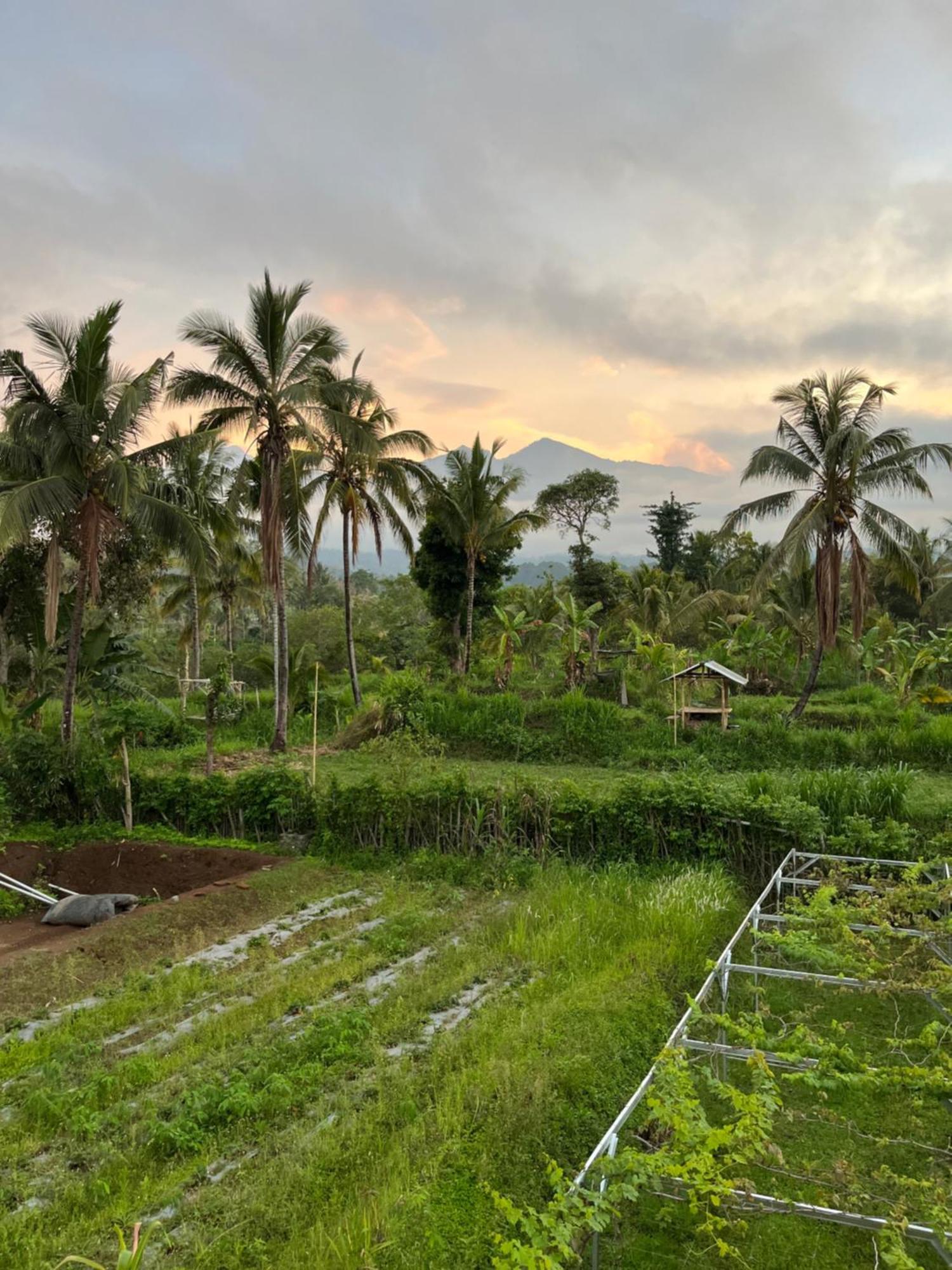 Rinjani Eco Villa Senaru Bayan Extérieur photo
