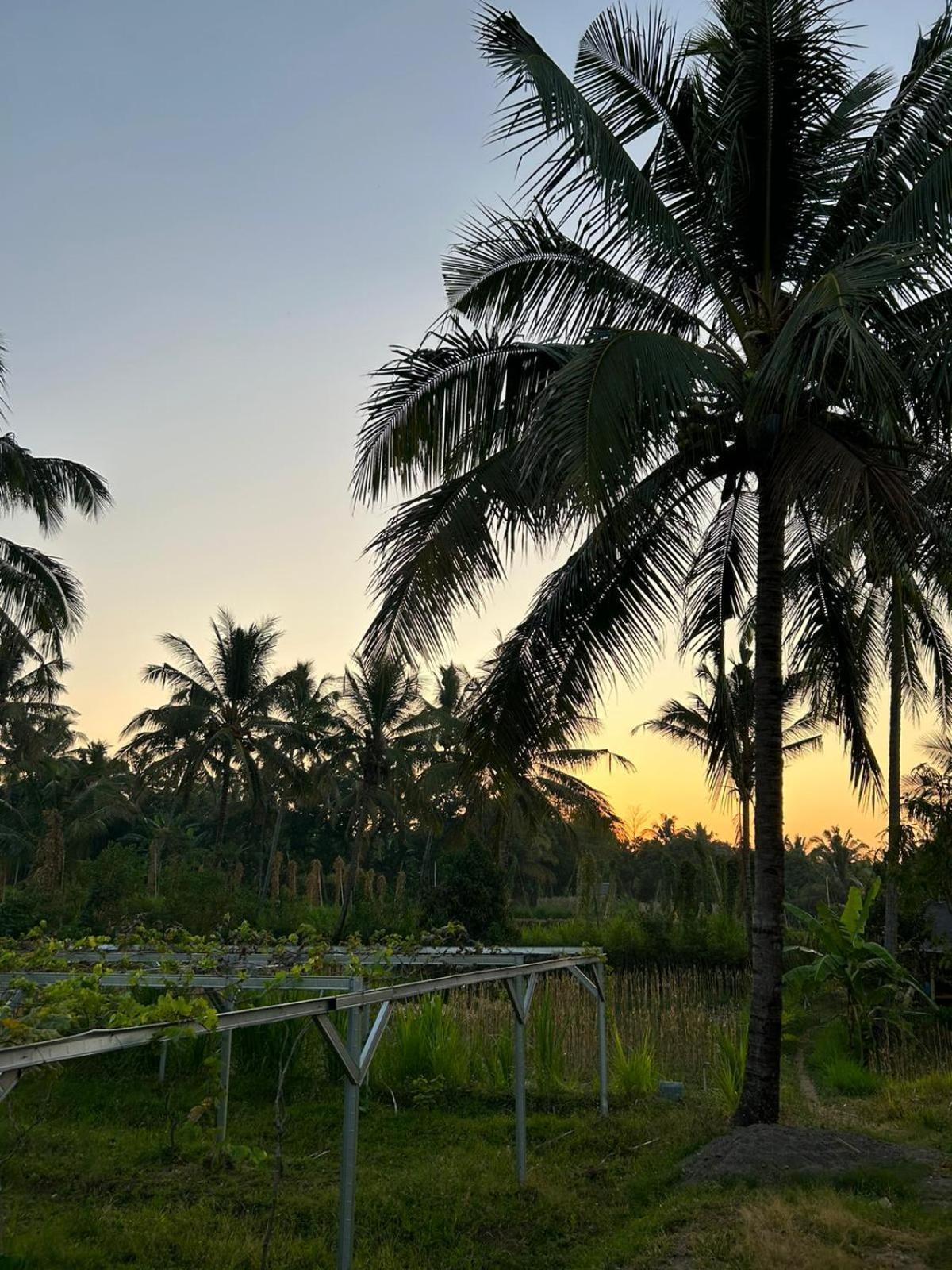 Rinjani Eco Villa Senaru Bayan Extérieur photo