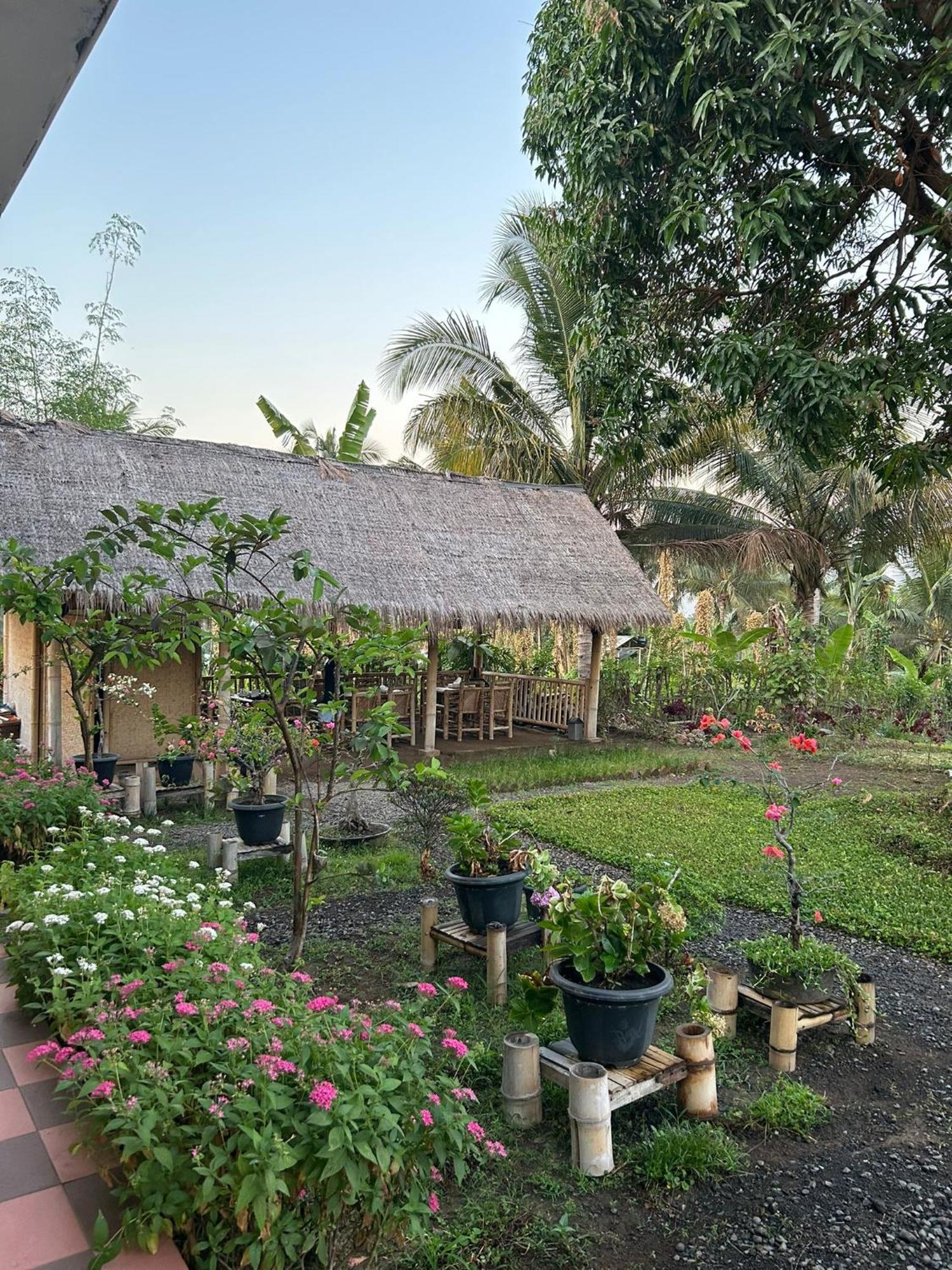Rinjani Eco Villa Senaru Bayan Extérieur photo