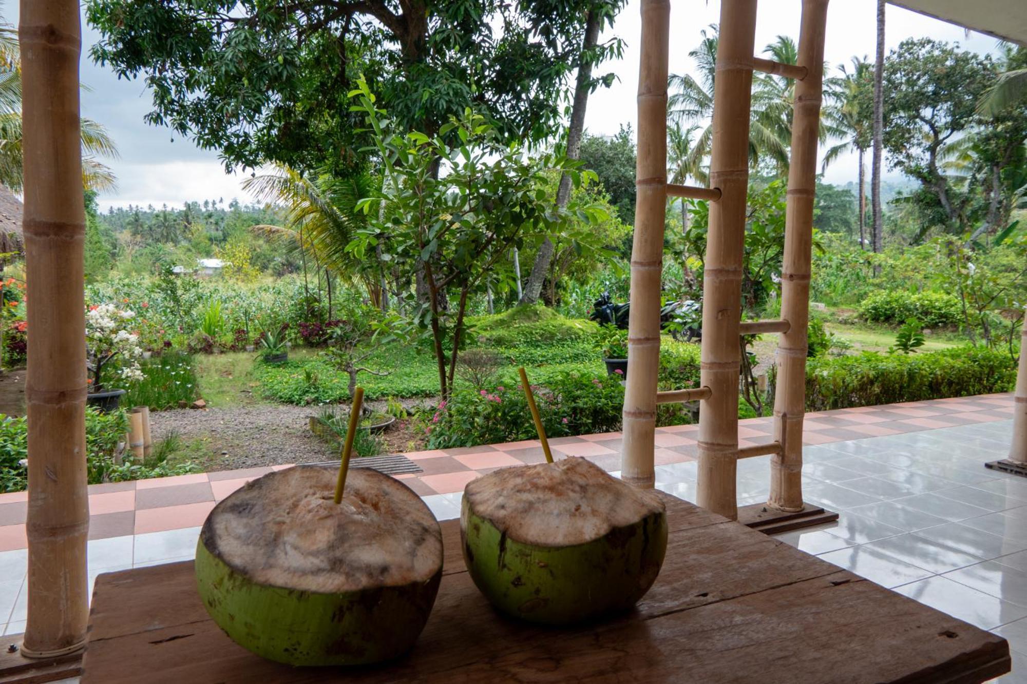 Rinjani Eco Villa Senaru Bayan Extérieur photo